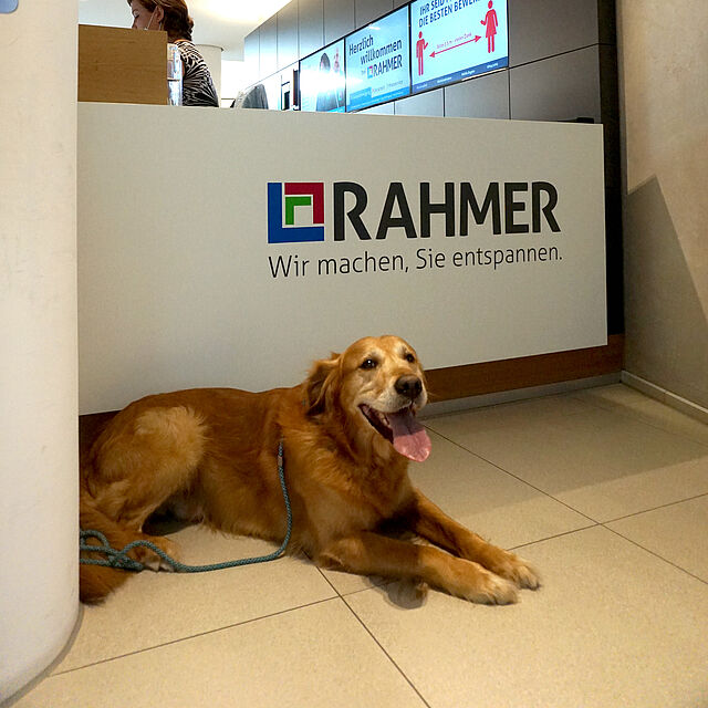 RAHMER Bring dein Hund mit zur Arbeit Tag